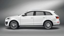 Audi Q7 V12 TDI - lewy bok