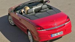 Opel Astra III TwinTop 2007 - widok z tyłu