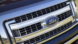 Ford F-150 - model 2013 - grill