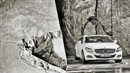 Mercedes CLS Shooting Brake - widok z przodu