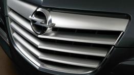 Opel Insignia Concept - grill