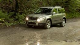 Skoda Yeti w Odessie - galeria redakcyjna - widok z przodu