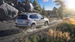 Subaru Forester IV - wersja europejska - widok z tyłu
