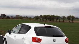 Seat Ibiza 2008 - widok z tyłu