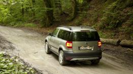 Skoda Yeti w Odessie - galeria redakcyjna - widok z tyłu