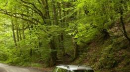 Skoda Yeti w Odessie - galeria redakcyjna - widok z tyłu