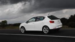 Seat Ibiza 2008 - lewy bok
