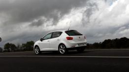 Seat Ibiza 2008 - lewy bok