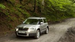 Skoda Yeti w Odessie - galeria redakcyjna - widok z przodu