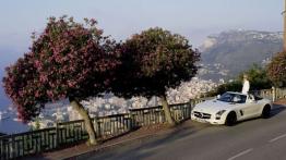 Mercedes SLS AMG Roadster 2012 - widok z góry