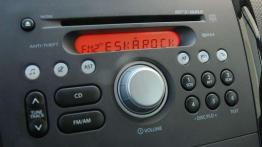 Suzuki Splash - sympatyczny mieszczuch