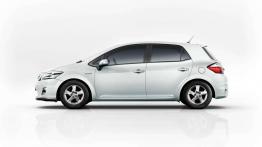 Przegląd rynku hybryd i samochodów elektrycznych