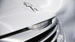 Peugeot 2008 - król lew?