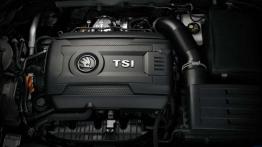 Lepszy diesel czy benzyna? Wybór silnika na podstawie nowej Octavii