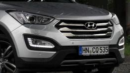 Hyundai Santa Fe - objawienie?