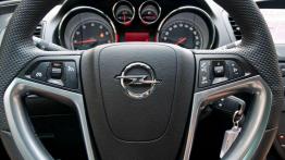 Czy warto kupić: używany Opel Insignia (od 2008 )