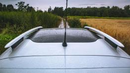 Citroen C4 Cactus Rip Curl - galeria redakcyjna