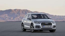 Audi Q5 (2017)