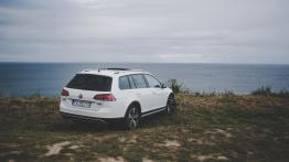 Volkswagen Golf Alltrack 2.0 TDI 184 KM - galeria redakcyjna (2) - widok z tyłu
