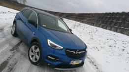 Opel Grandland X 2.0 CDTI 177 KM - galeria redakcyjna