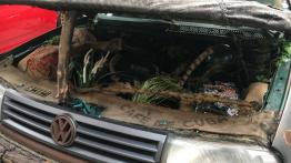 Moto Show Kraków 2018 - galeria redakcyjna (2)