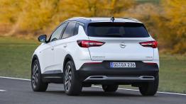 Opel Grandland X Ultimate (2018)  - widok z tyłu