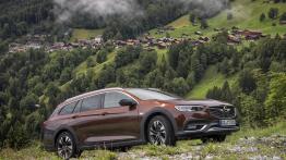 Opel Insignia Country Tourer (2017)