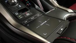 Lexus NX 300 - galeria redakcyjna (1)
