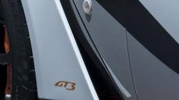 Aston Martin Vantage GT3 Special Edition (2015) - oficjalna prezentacja auta