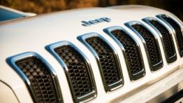Jeep Cherokee V 2.0 MJD 170KM - galeria redakcyjna - grill