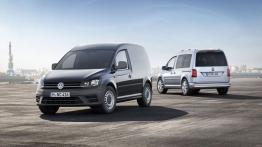 Volkswagen Caddy IV Kombi (2015) - widok z tyłu