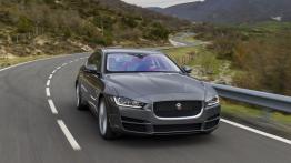 Jaguar XE 2.0d Ammonite Grey (2015) - widok z przodu