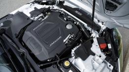 Jaguar F-Type AWD R Coupe (2016) - maska otwarta