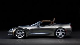 Chevrolet Corvette C7 Stingray Cabrio (2014) - lewy bok