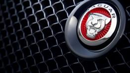 Jaguar XJR 2014 - logo