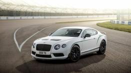 Bentley Continental GT3-R (2014) - lewy bok