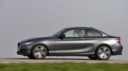 BMW 220i Coupe Sport Line (2014) - lewy bok