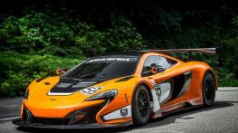 McLaren 650S GT3 (2014) - lewy bok