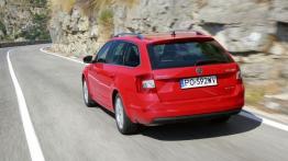 Skoda Octavia III Kombi 4x4 TDI (2013) - widok z tyłu