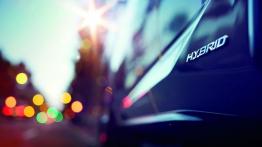 Lexus NX 300h (2014) - emblemat boczny