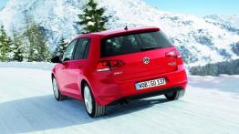 Volkswagen Golf VII 4Motion - widok z tyłu