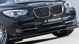BMW Seria 5 GT Hamann - widok z przodu