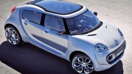 Citroen C-Cactus Concept - widok z góry
