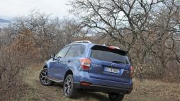 Subaru Forester IV - wersja europejska - widok z tyłu