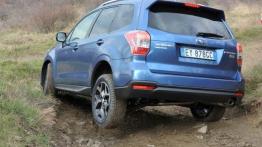 Subaru Forester IV - wersja europejska - widok z tyłu