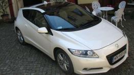 Dynamika może być eko