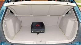 BYD e6 - sukces możliwy?