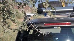 Skoda Yeti w Namibii - dzień 2 - poznajemy szutry i piaski