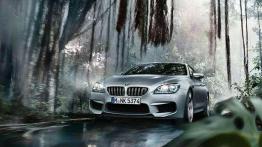 BMW M6 Gran Coupe - mariaż luksusu z adrenaliną