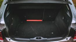 Citroen C4 Cactus Rip Curl - galeria redakcyjna